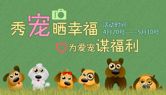 皮皮宠